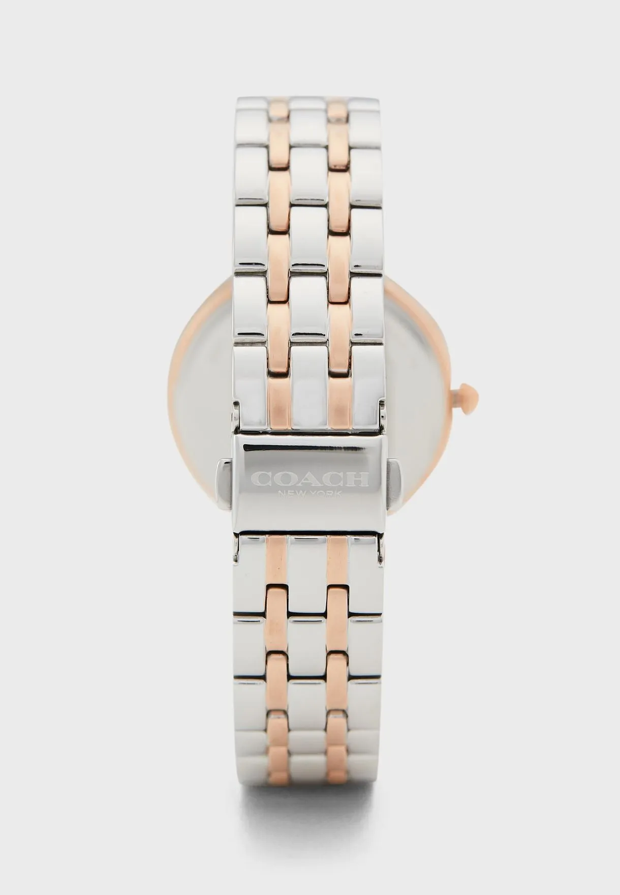 Coach Park Quartz Crystal Silver Dial Ladies Watch 14503644