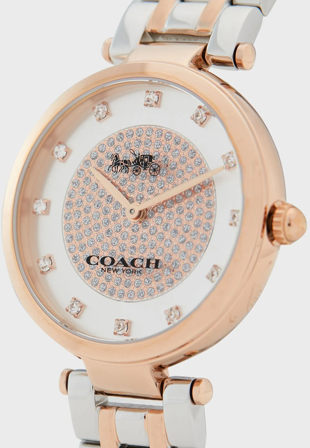 Coach Park Quartz Crystal Silver Dial Ladies Watch 14503644