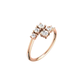 Double degrade ring