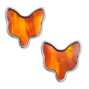 Fox Paua Shell Stud Earrings