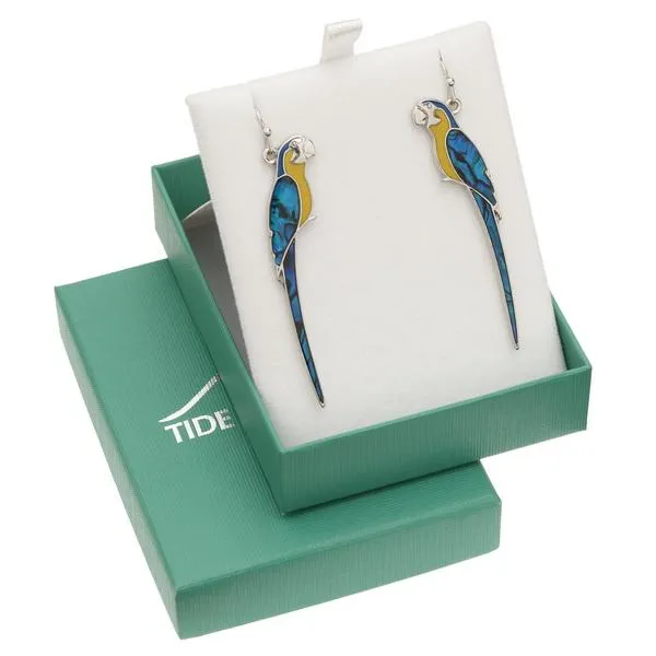 Macaw Paua Shell Hook Earrings
